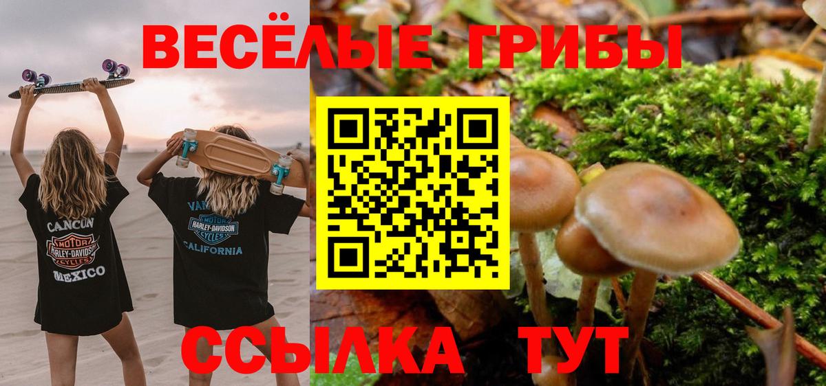 Псилоцибиновые грибы мухоморы  Вход с VPN  как найти закладки  Псилоцибиновые грибы Magic Shrooms  Дмитров 