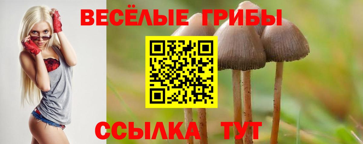 Псилоцибиновые грибы GOLDEN TEACHER Дмитров